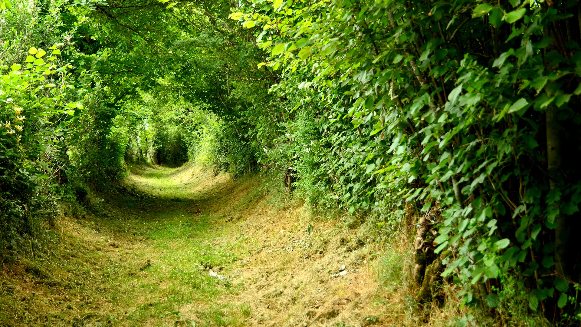 Superbe chemin