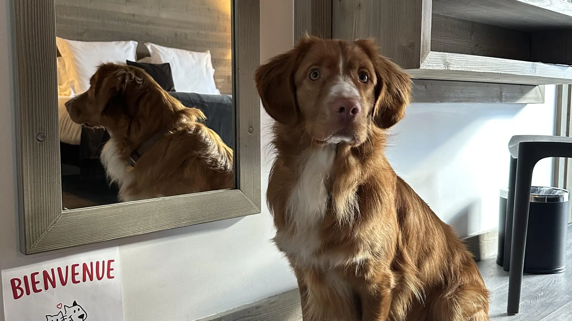 Pet Friendly - Victoria Lodge, Friendly Hotel Val d'Isère