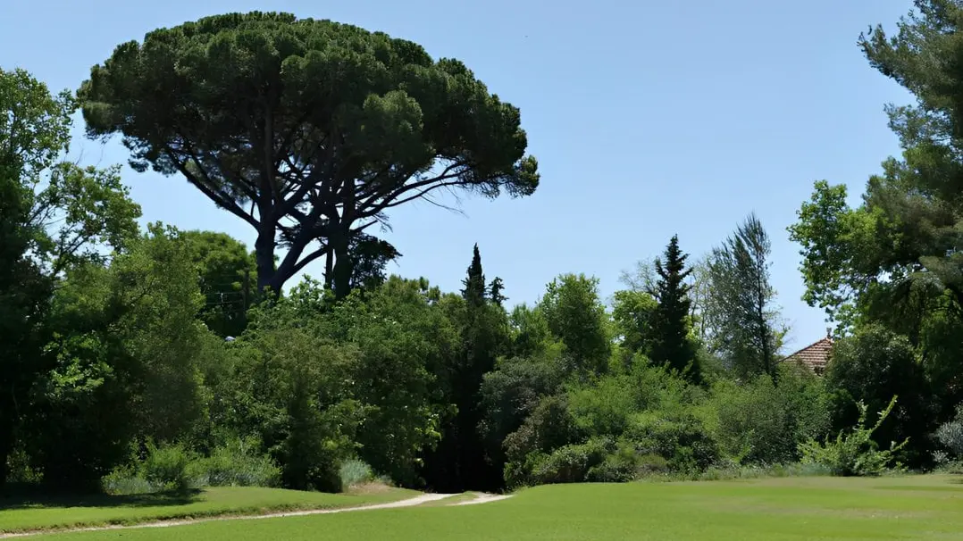 Parc de Campagne Saint-Jean de Matha
