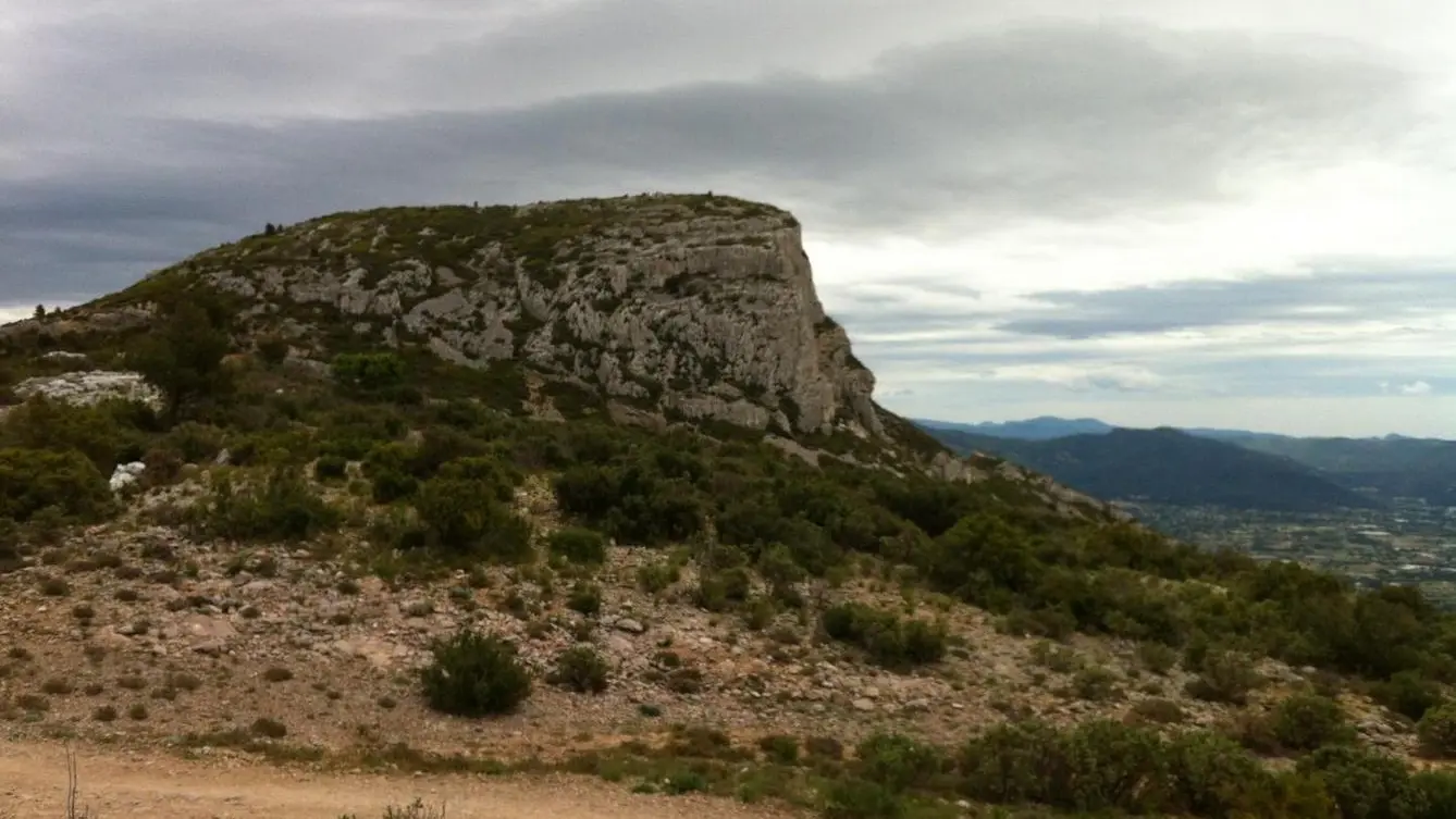photo30