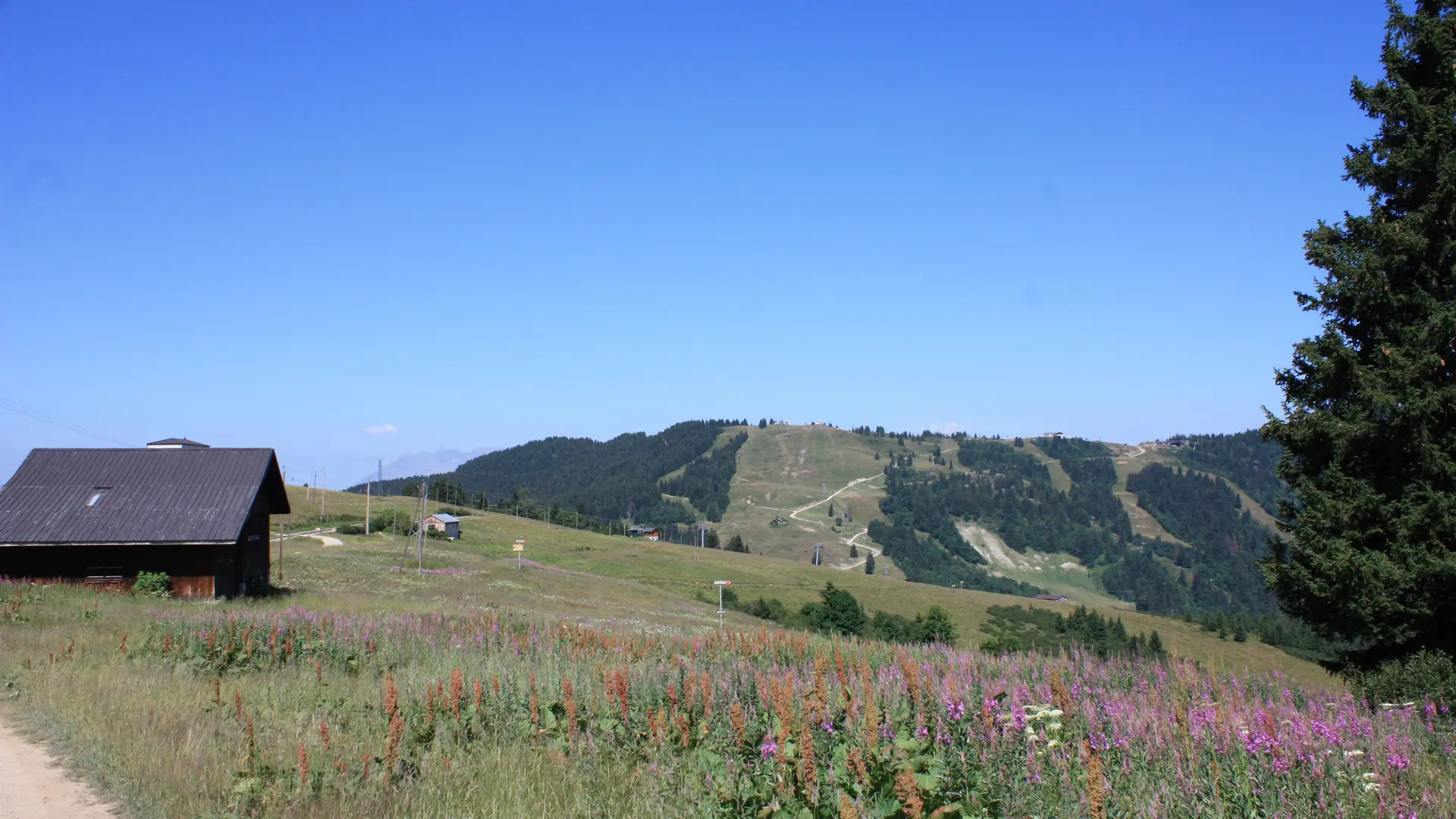 Randonnée Les Houches