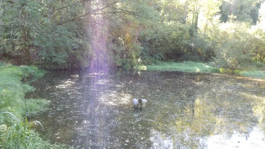 Etang