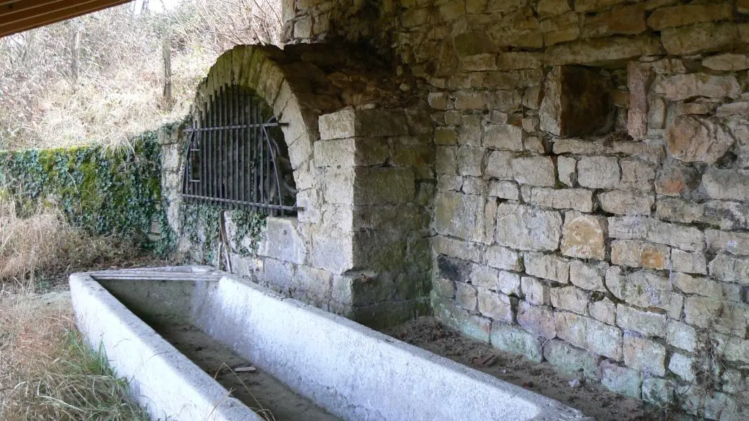 Fontaine Saint tricot en contrebas des chambres d'hôtes