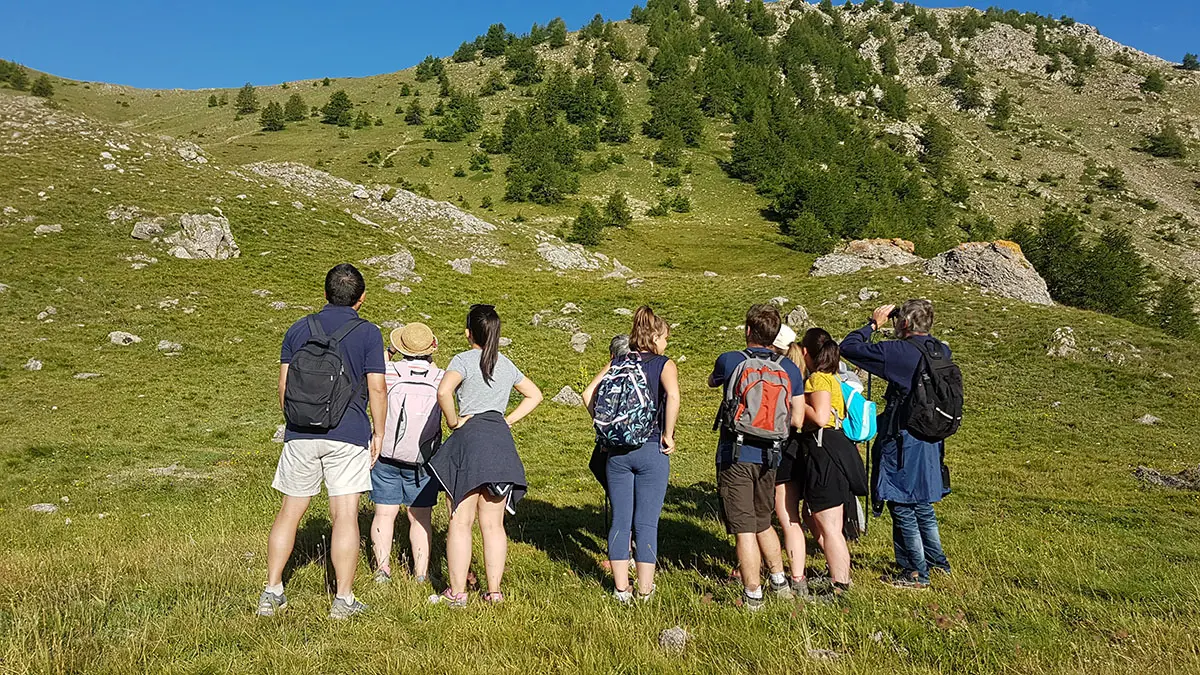 Sortiefaune sauvage du Mercantour