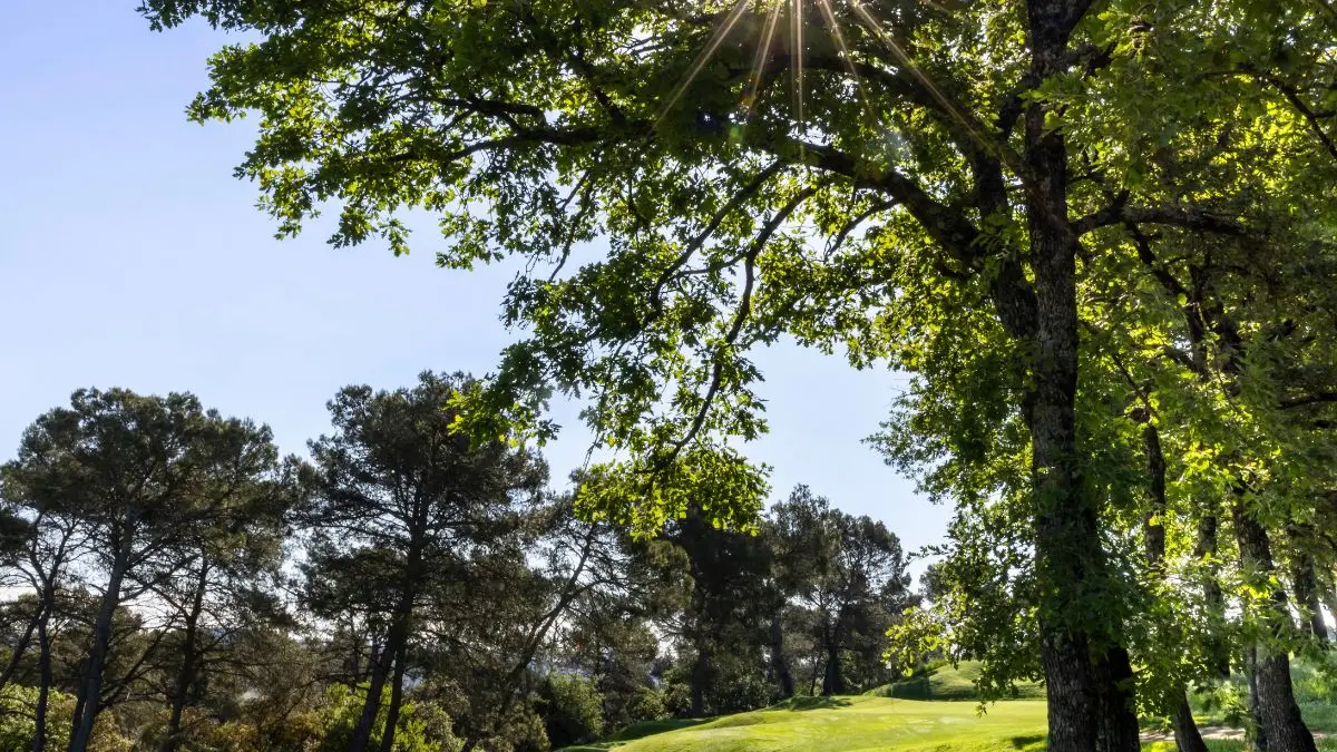 Le golf dans la nature