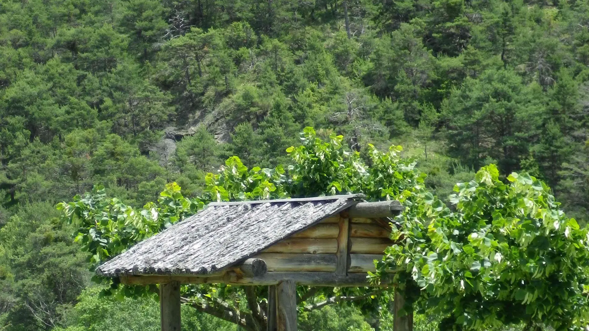 la balancelle les Jassines