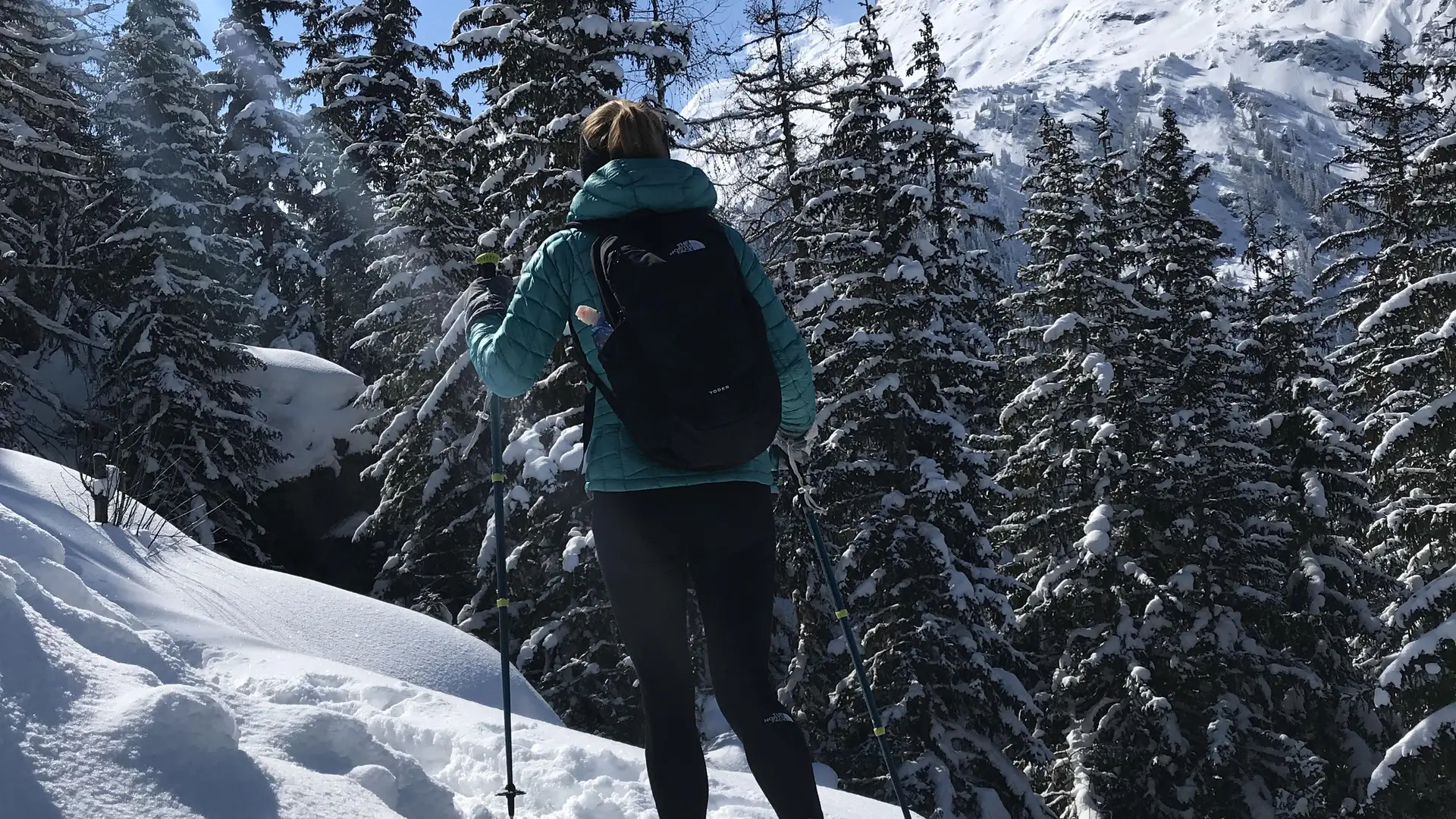 Raquette : Le Loup, les Animaux et la Nocturne avec l'ESF