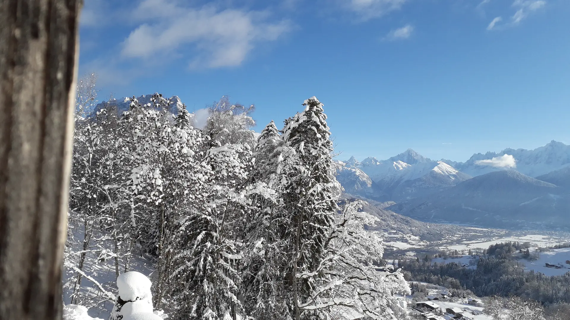 vue sapin hiver