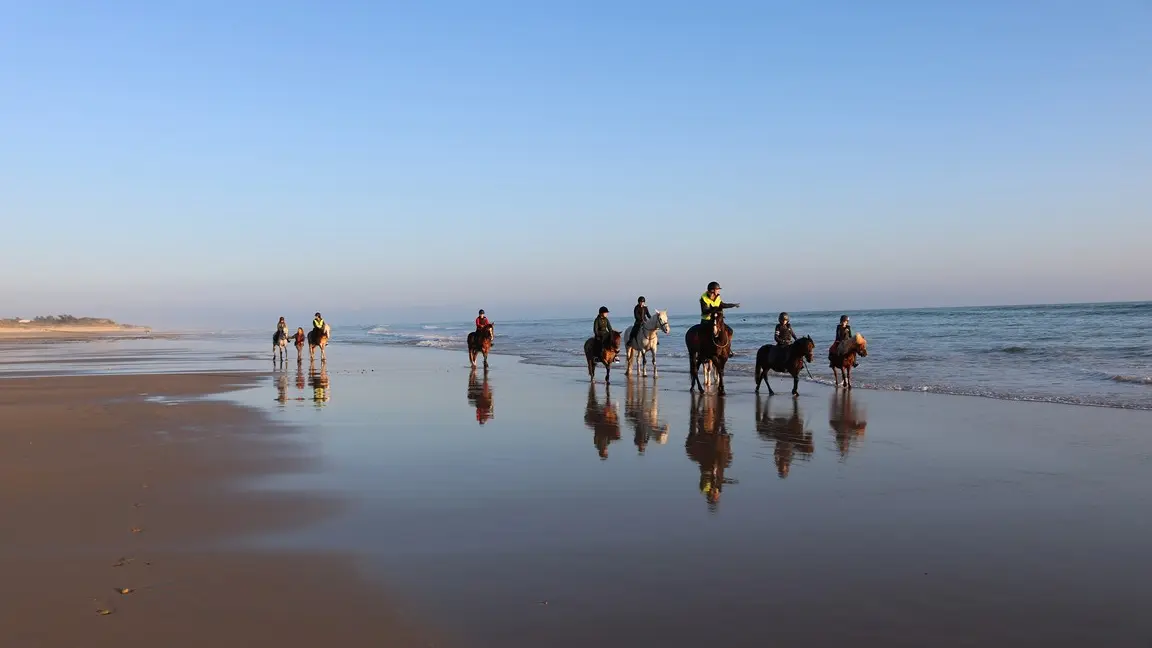 Balade sur la plage