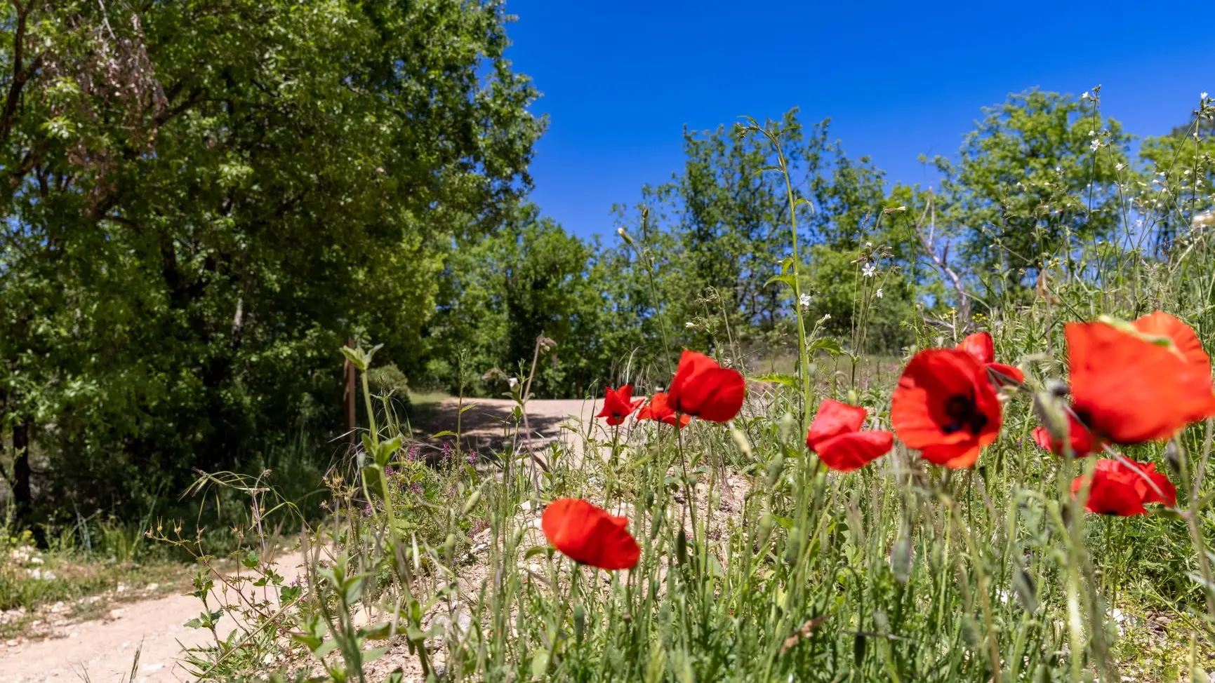 Randonnée - Découverte du Biotope de Fondurane