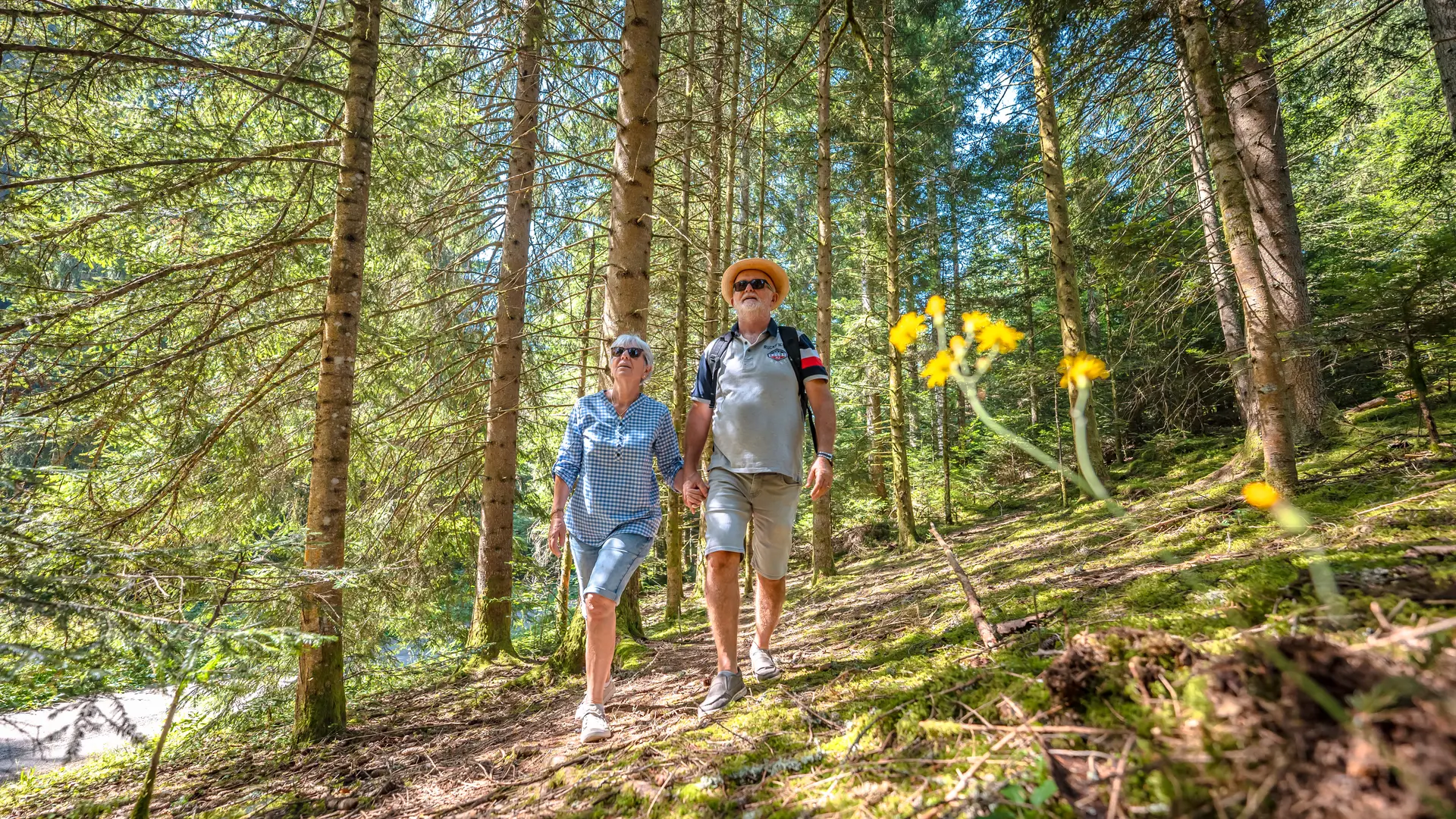 Un couple se promenant sur les chemins de la forêt des Seiglières.