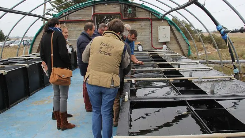 Visite guidée de la Ferme des Baleines