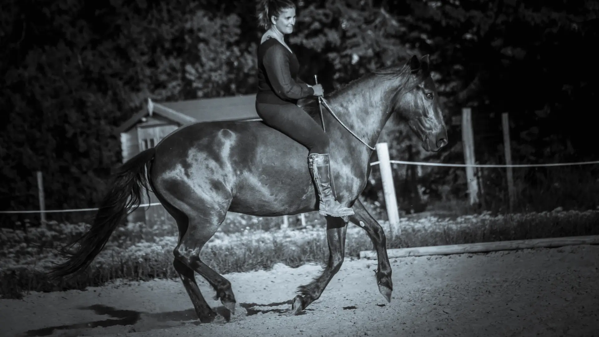Cavalière montant son cheval en liberté avec élégance.