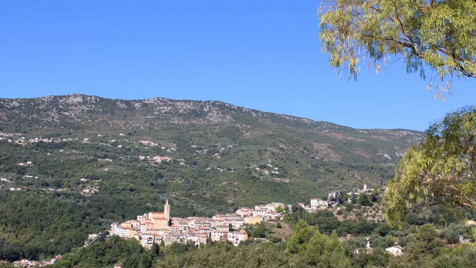 Vue sur le village de Contes