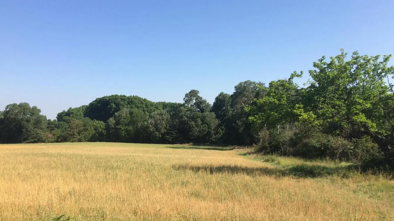 Le Plateau de la Petite Crau à 5mn à pieds