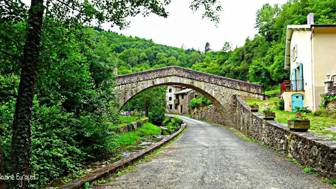 le pont du 14eme siecle