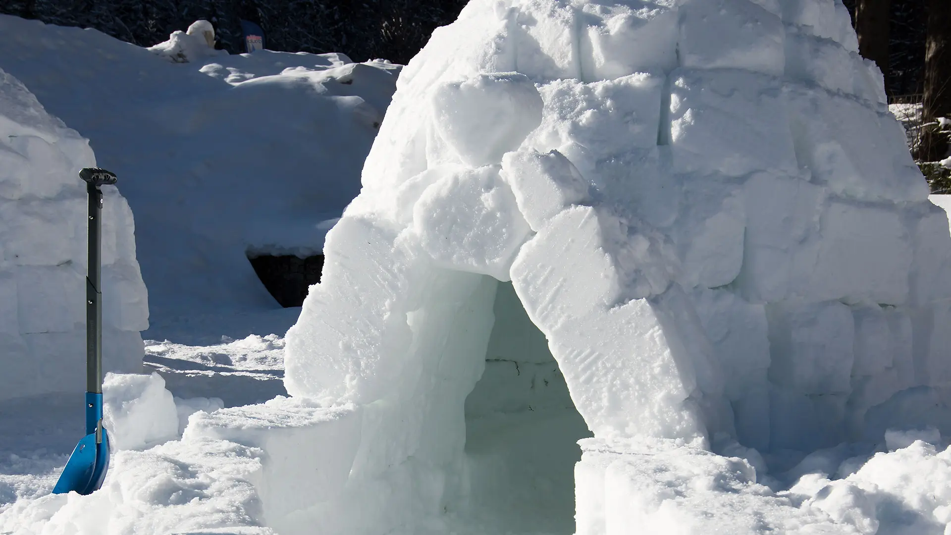 Construction d'igloos