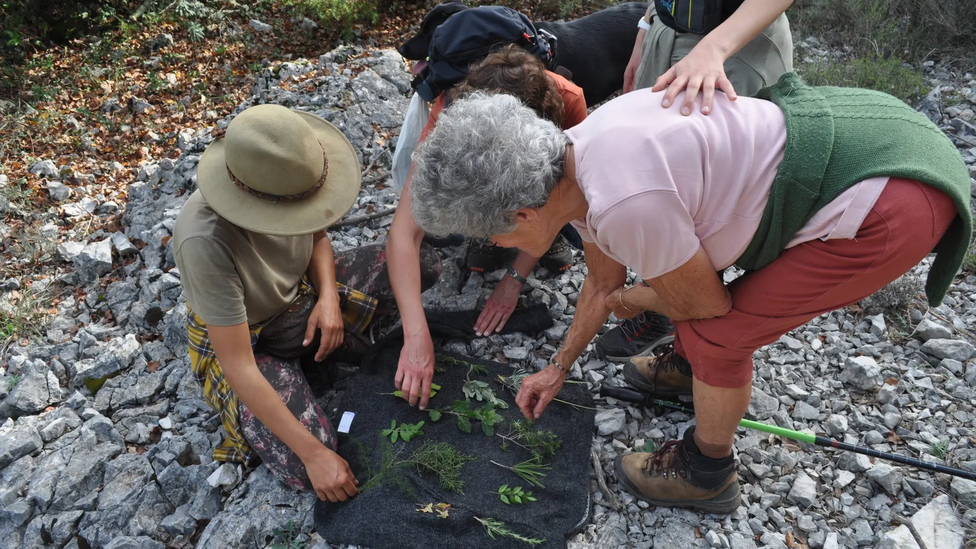 Balades et randonnées avec les muletiers Bigatier à Cuers