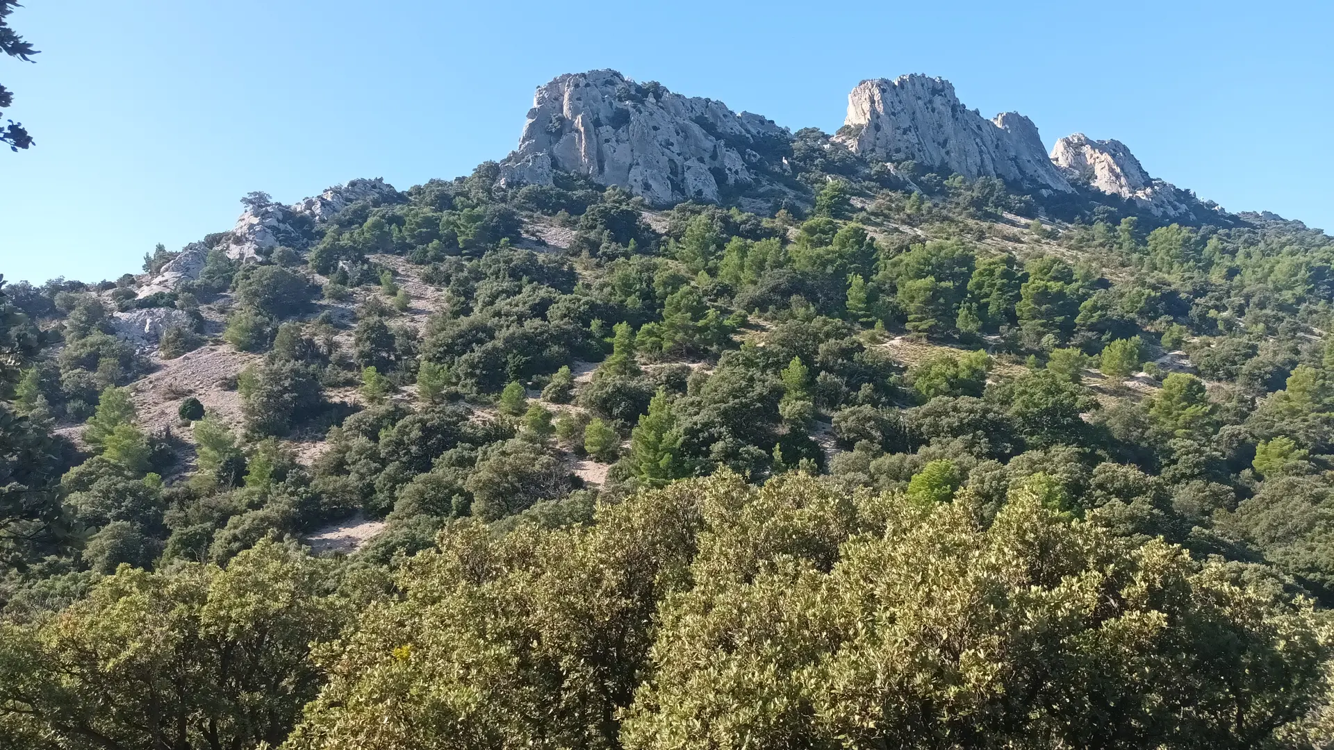 Dentelles de Montmirail