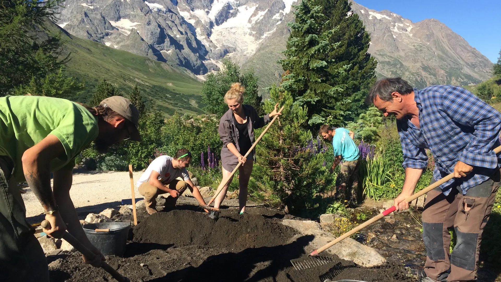 Les techniciens et stagiaires au travail dans le Jardin du Lautaret