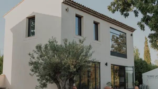 Visit Lavender field in Aix en Provence