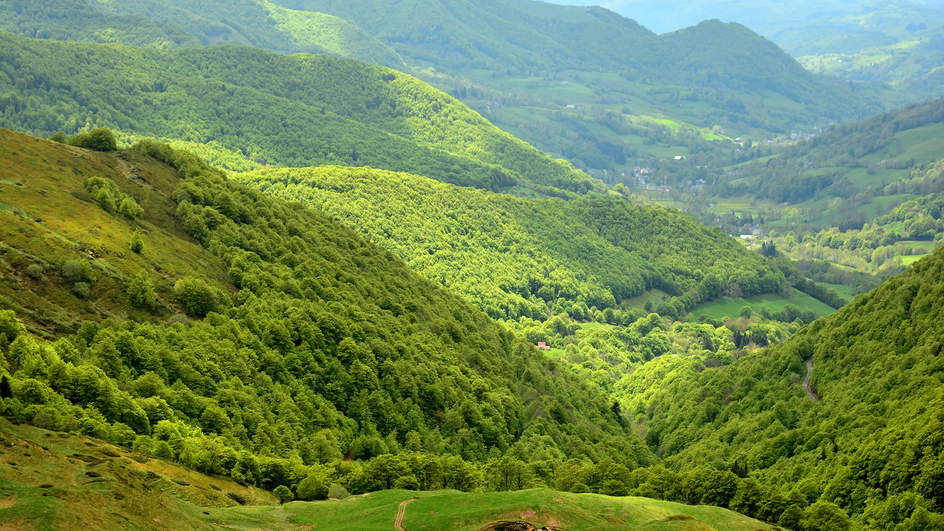 Vallée de la Jordanne