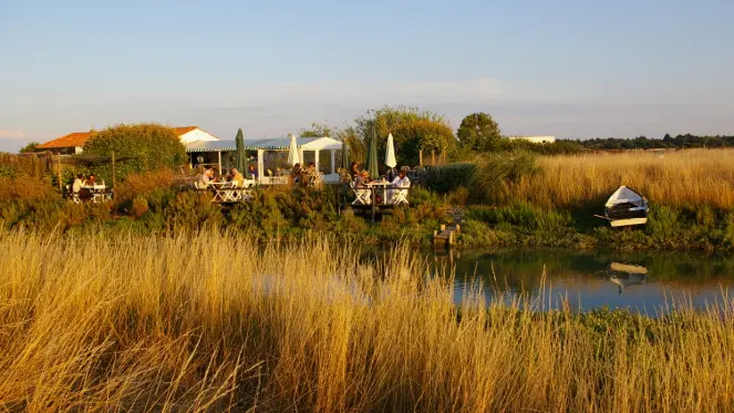 La Cabane du Feneau au cœur des marais salants