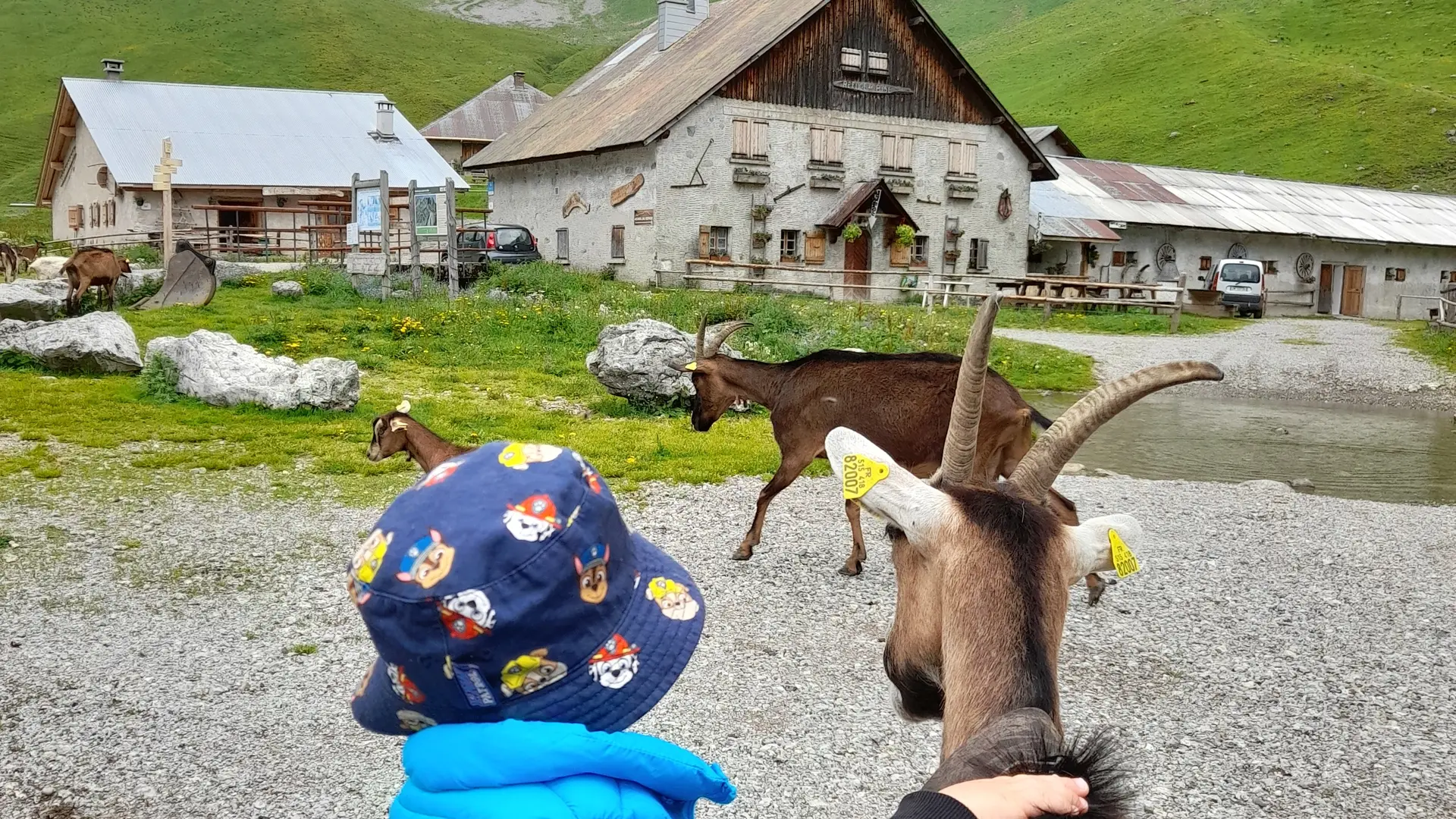 Randonnée trek Mon premier bivouac