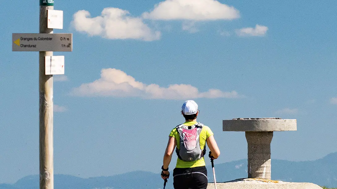 Randonnée pédestre : Le Grand Colombier depuis Culoz_Culoz-Béon