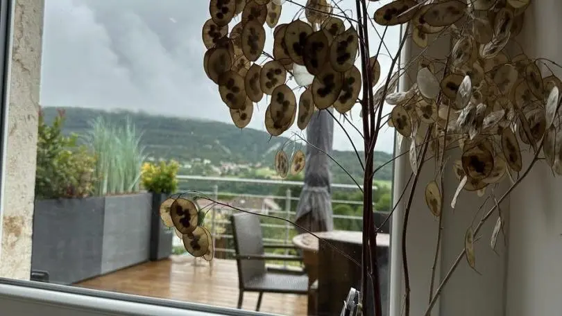 Vue salon sur terrasse