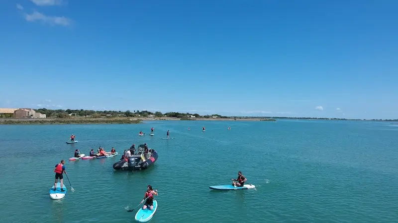 Stand up paddle