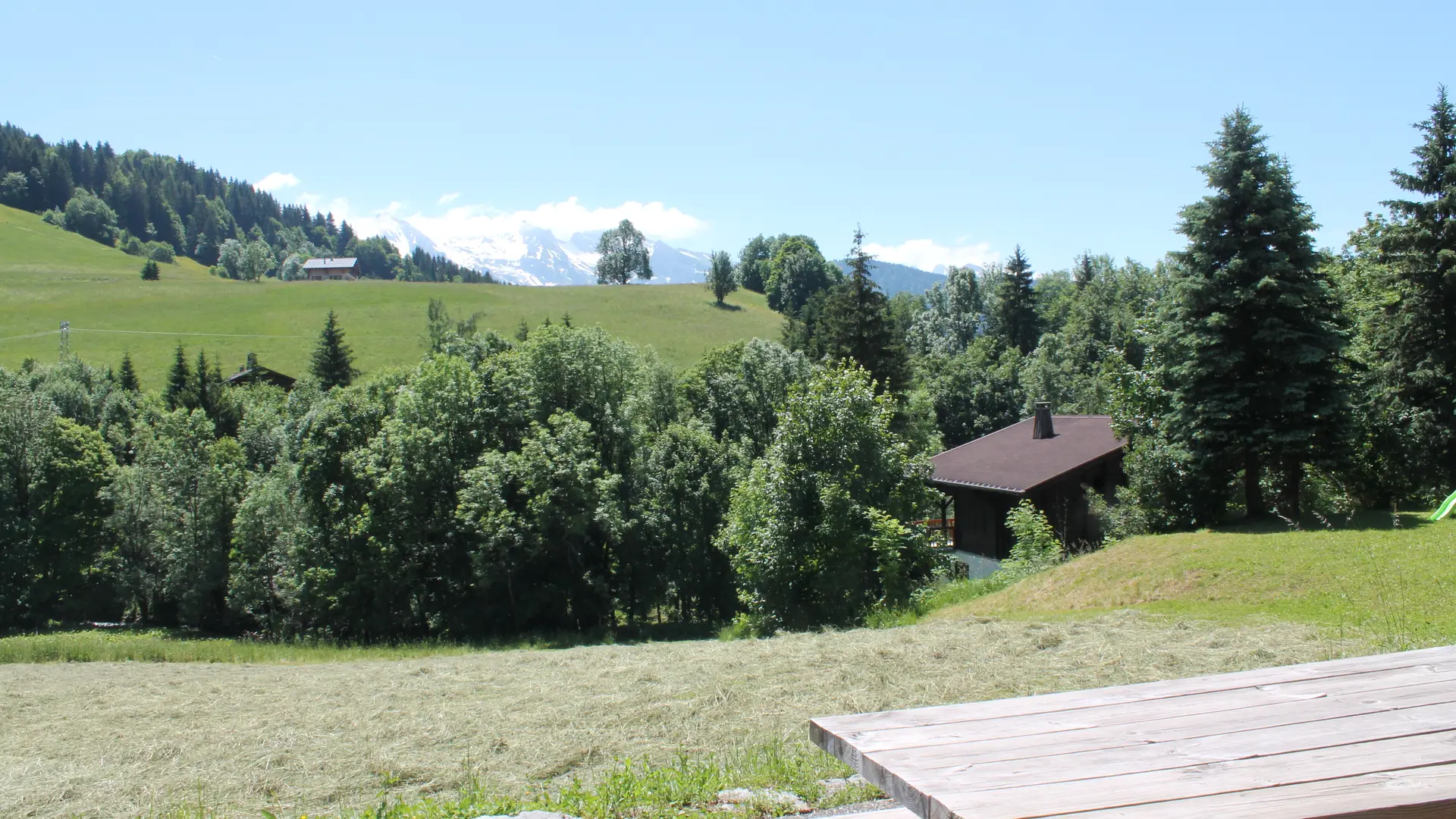 Jardin été/Summer garden-Fleur des Alpes n°5-Le Grand-Bornand