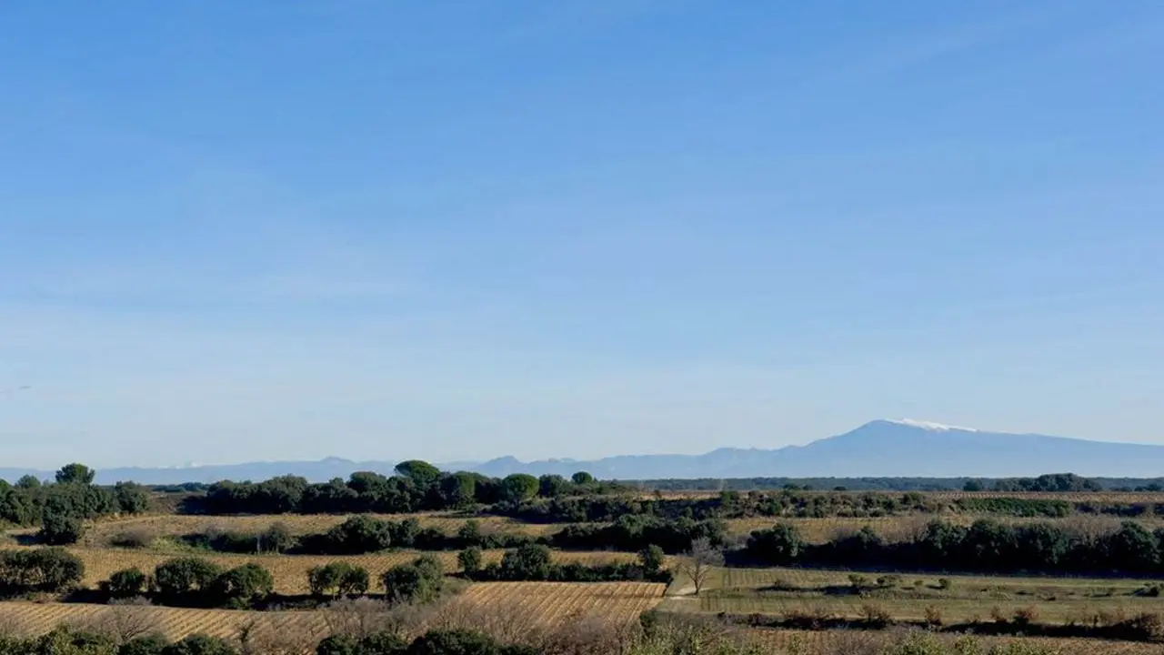 Très belle vue sur le vignoble et le Mont-Ventoux