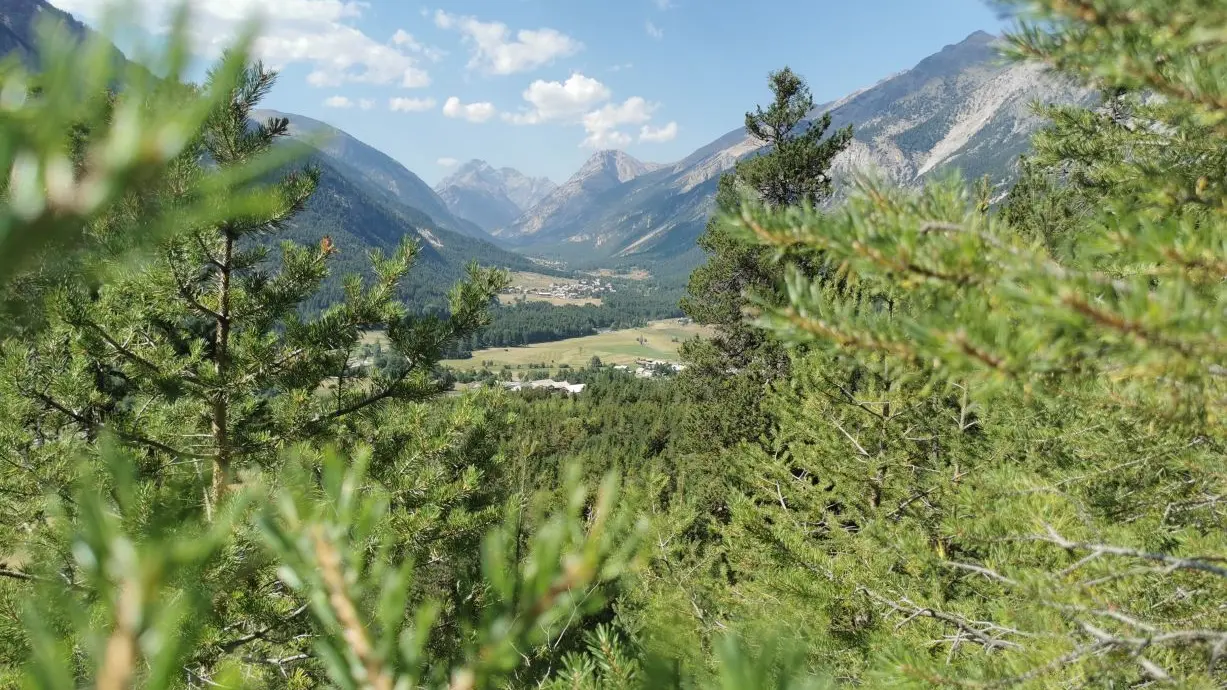 Chalets du Vallon - Val-des-Prés