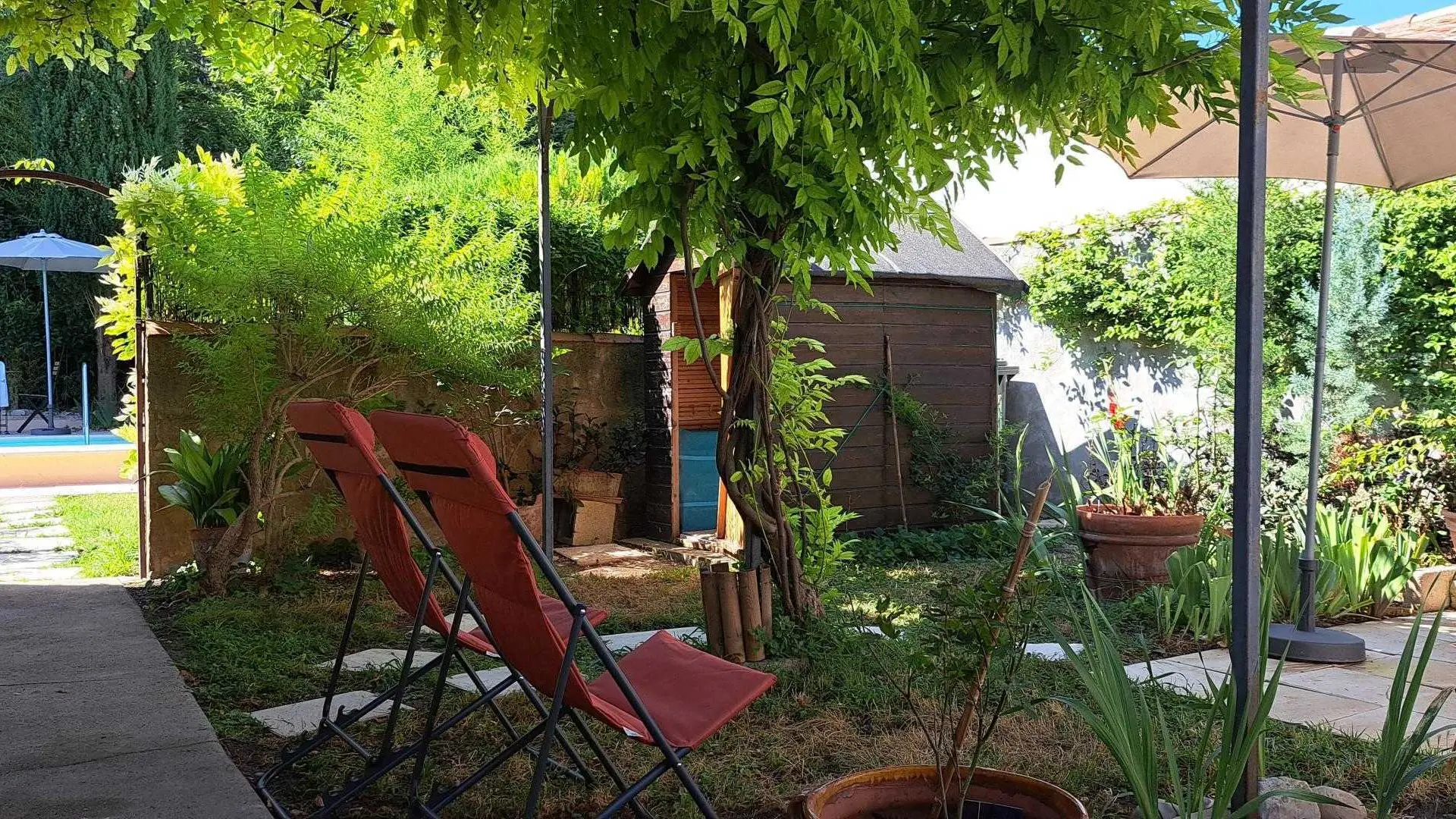 Sous l'ombrage et la fraicheur de la tonnelle avec sa glycine .