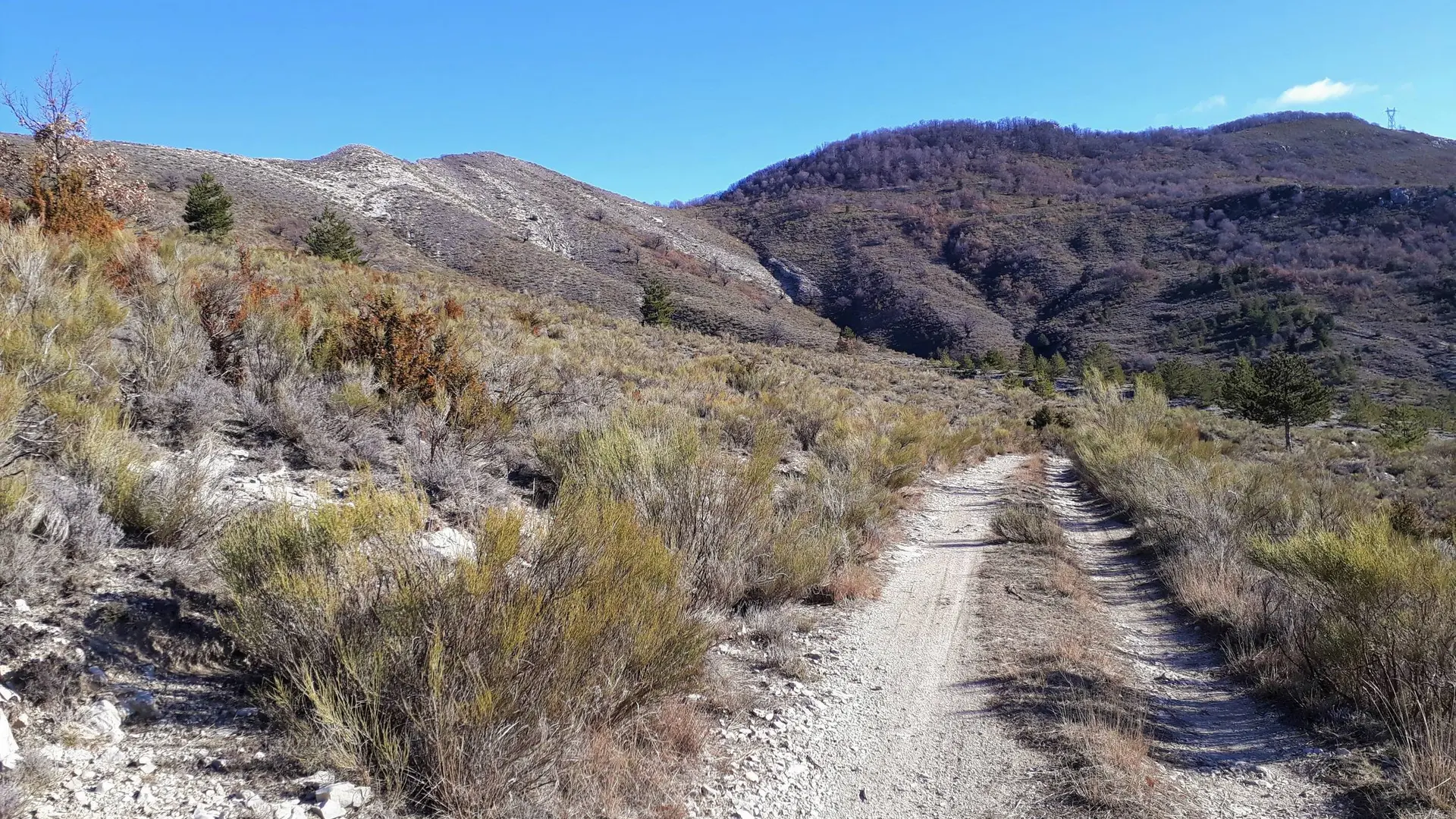 Très belle portion avec vue dégagée