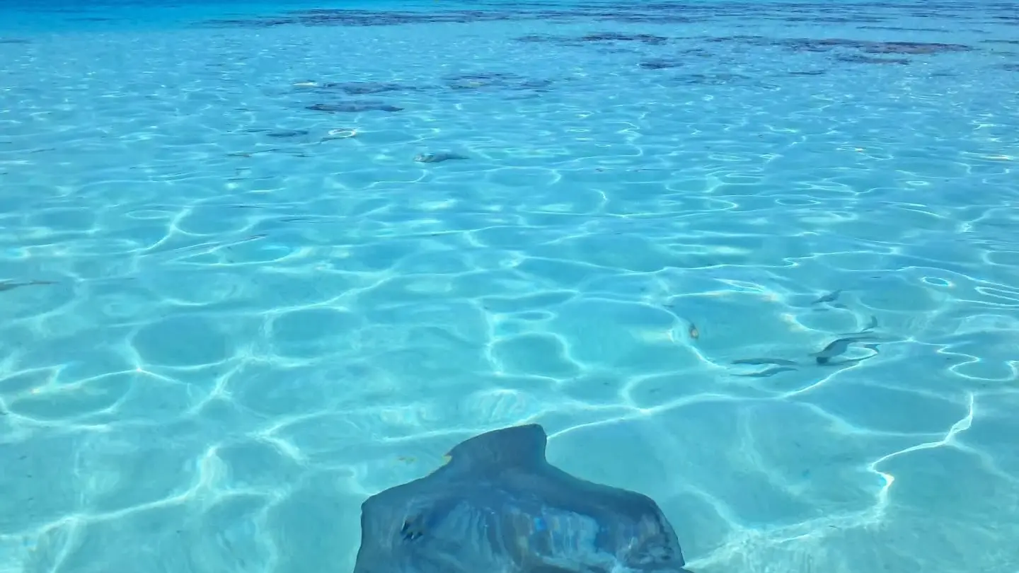 Moorea Lagoon Cruise_Moorea-Maiao