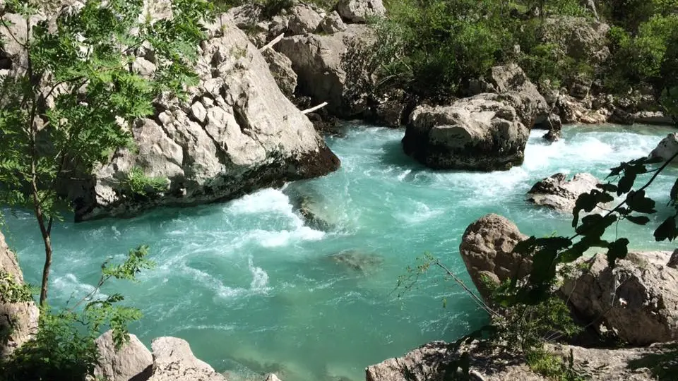 Verdon