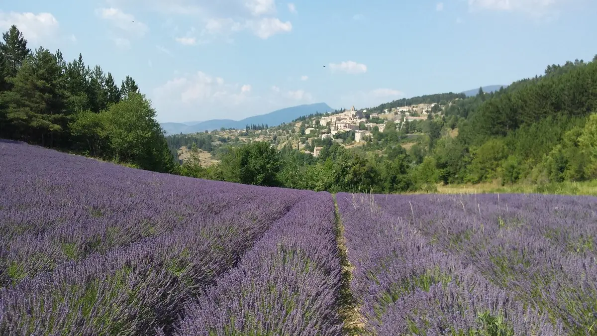 Time 4 Provence