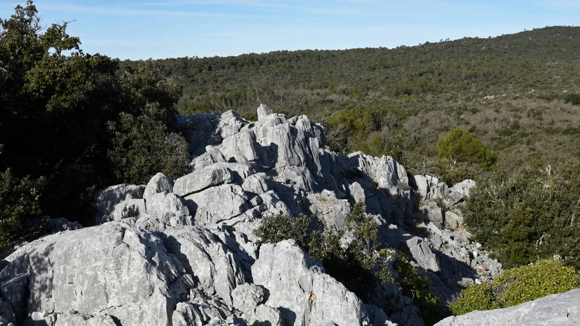 Multitudes de rochers sur une falaise envahis par la végétation