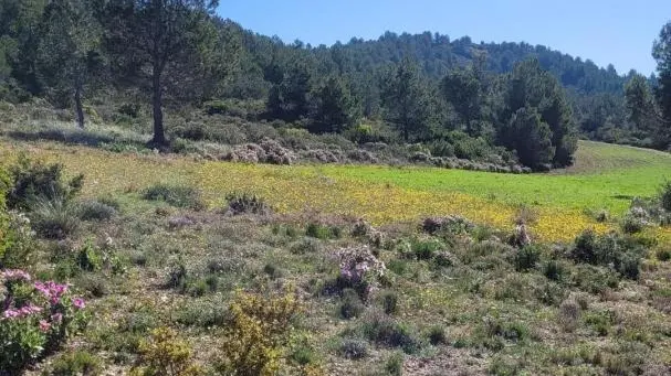 Les Alpilles toutes proches vous attendent pour de belles balades