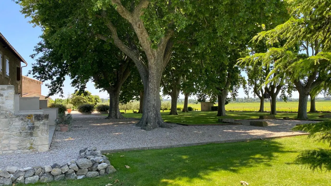 Parc de platanes centenaires