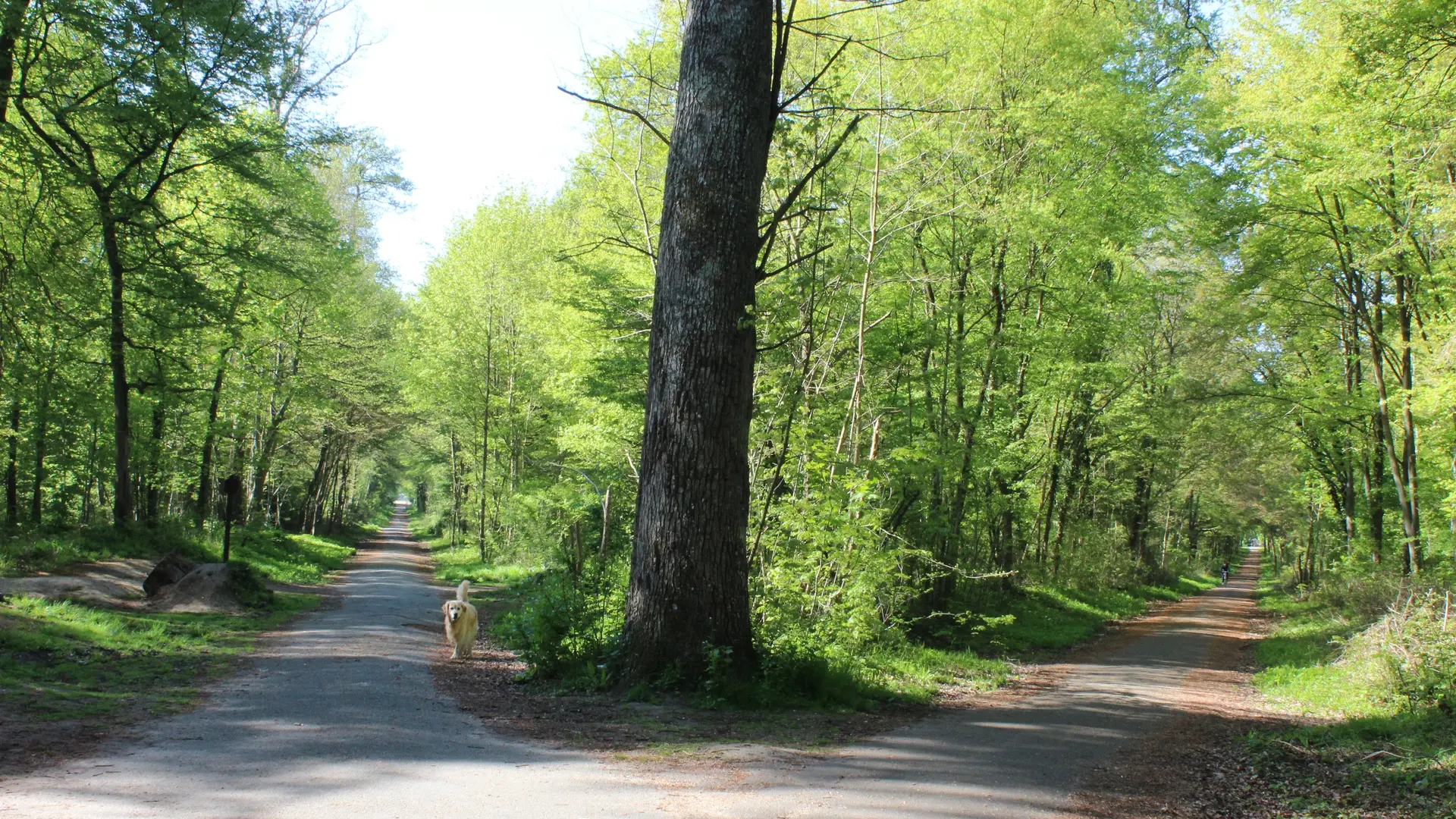 Etape 7 - Etoile d'Actéon