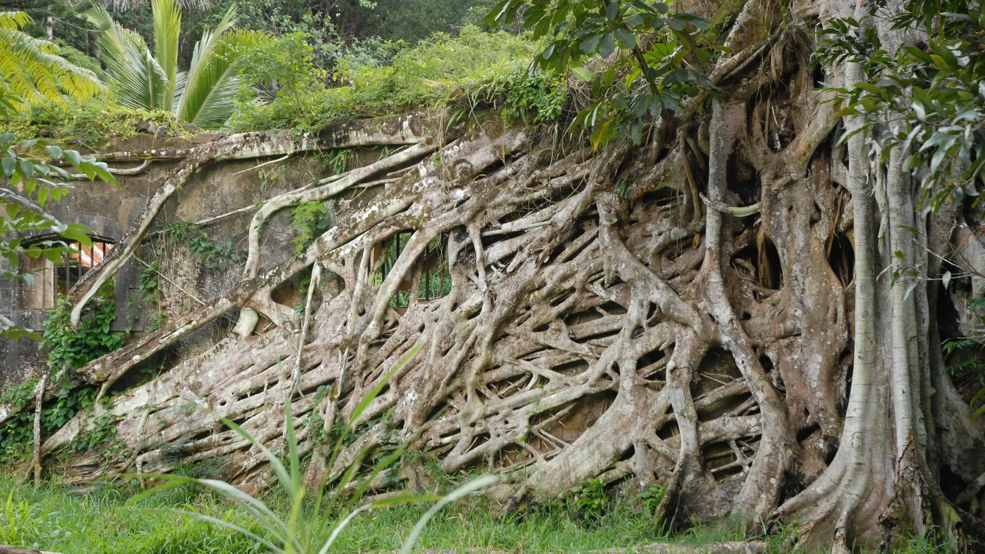 Vestige du village de Prony