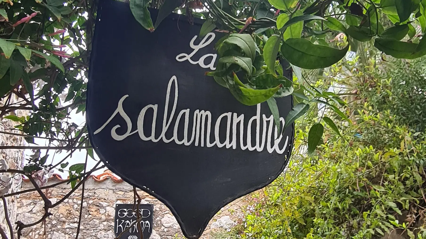 La salamandre