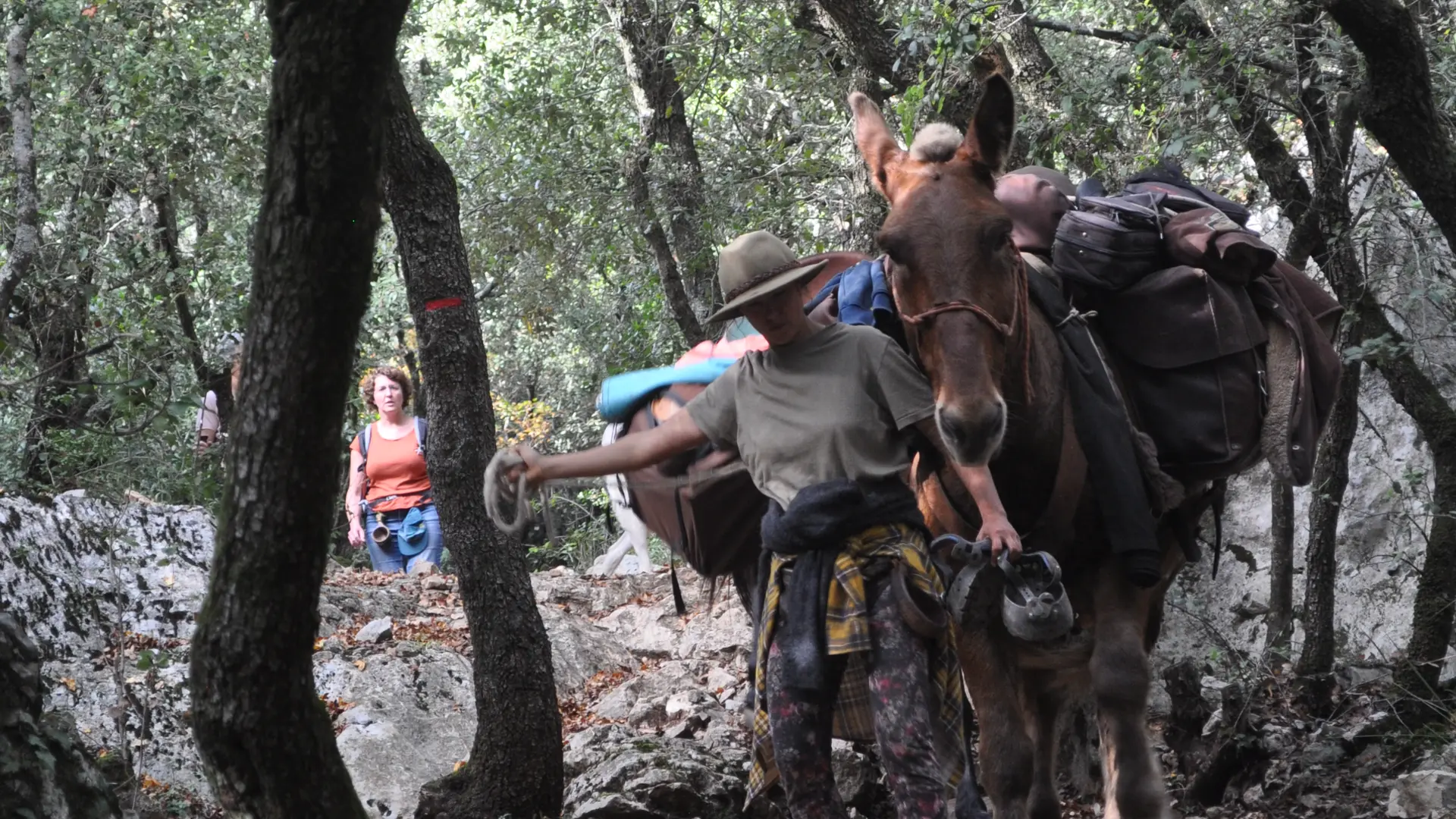 Balades et randonnées avec les muletiers Bigatier à Cuers