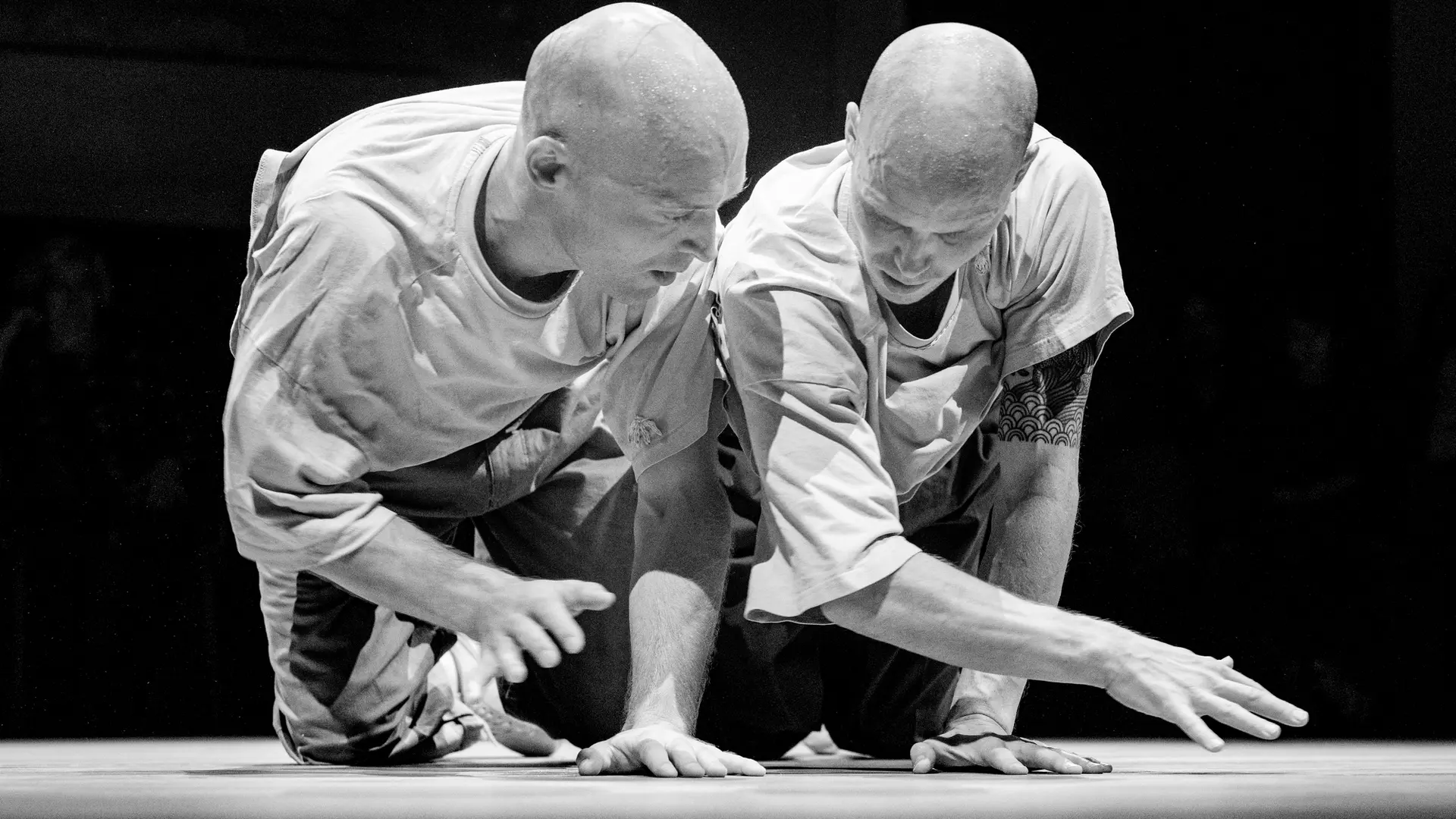 Plateforme Studiotrade_Cannes - La Bocca