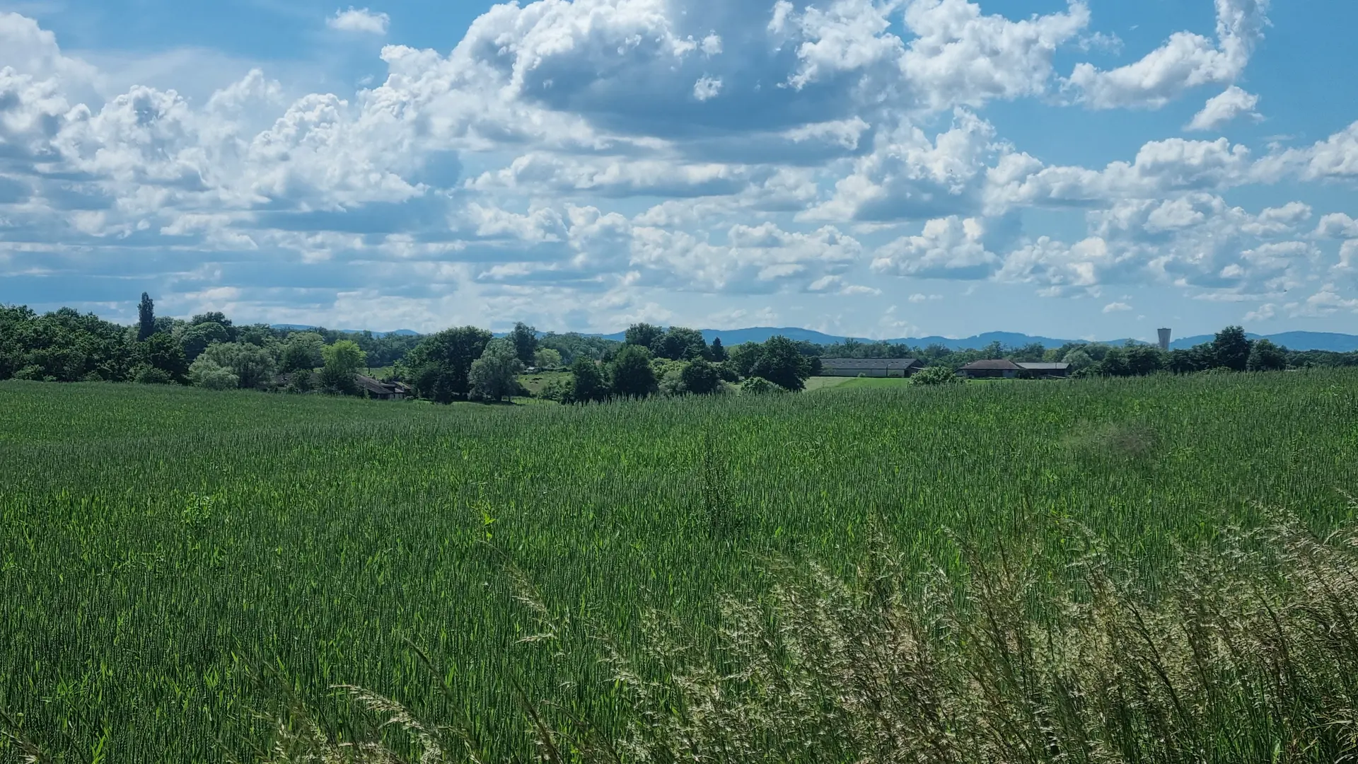 Circuit VTT-VTC n°26 (noir)_Tour de St Didier d'Aussiat