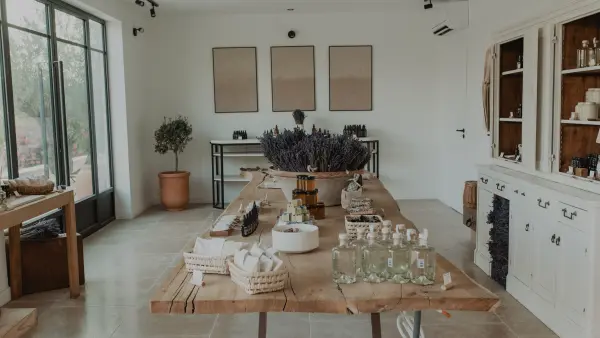 Visit Lavender field in Aix en Provence