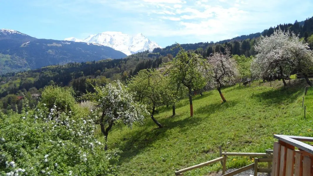 vue depuis le balcon du gite.